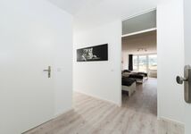 Easy Apartments 24 I BR11 8 Betten Wohnung in Wehen Bild 11