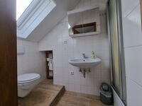 Zwischen Stadt und Natur Bild 6