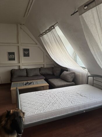 Wohnung in Wolfsburg Melanie Gross-Mende Picture 2