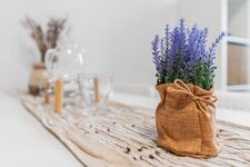 HomeRent in Apolda, Kahla und Umgebung Bild 9