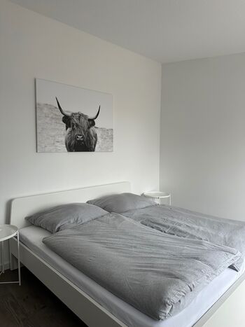 großzügige Wohnung zentral gelegen Picture 5