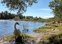 Erholung, grillen und baden am Rhein nach Feierabend