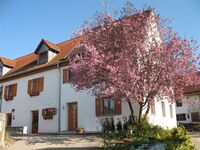 Monteurzimmer - WG Zimmer -FW "Gästehaus Beim Hartl " Bild 10