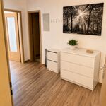 Geräumige 3-Zimmer-Wohnung mit zwei Balkonen Bild 8