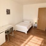 Geräumige 3-Zimmer-Wohnung mit zwei Balkonen Bild 6
