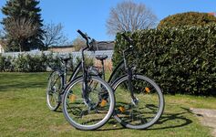 Wohnung Ertel Bild 9