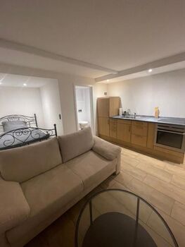 Pendler-Montagewohnung Picture 4