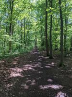 silentsun net Bild 12