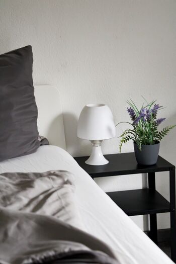 Rent Solution I Osnabrück I Apartment mit Innenstadtlage Bild 5