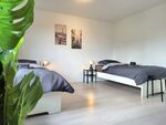 HomeRent in Gedern und Umgebung Bild 2