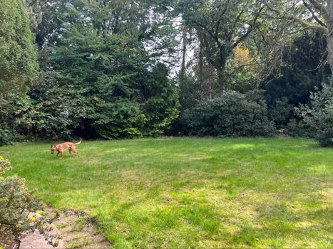 Moderne Apartments und Zimmer nähe Industrie und Hafen Bild 4