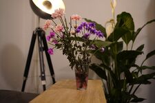 Monteure Prenzlauer Berg Bild 10