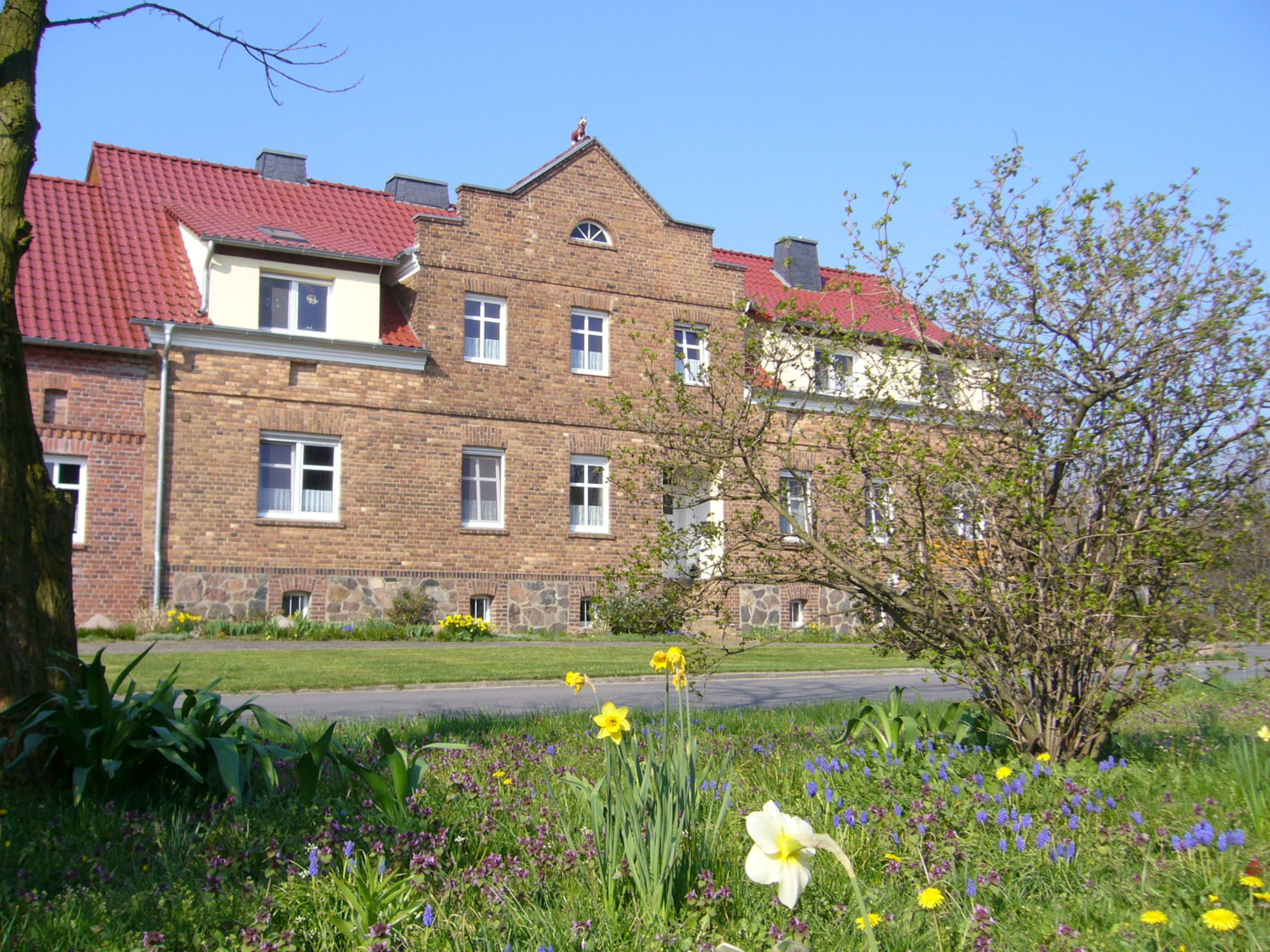 Haus im Frühling