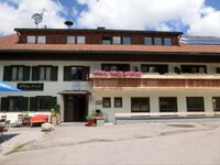 Goldiger Hirsch by Alpino STAY Bild 1