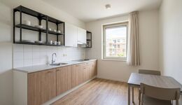 Business Apartment Bad Rappenau Bild 2