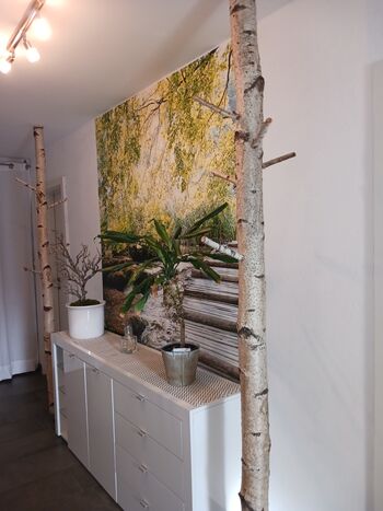 Ferienwohnung -- bei den Geißens-- Bild 4