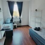 Duisburg Süd Grenze Düsseldorf Ferieren/Monteur/Messewohnung Bild 6