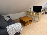 Ferienwohnung Seestern-Ranch mit kleinem Garten Bild 8