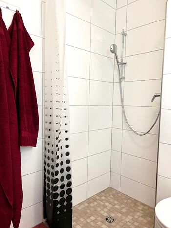 Wolfen-Apartments: Studio-Apartment mit Schlafsofa Picture 3