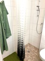 Wolfen-Apartments: Studio-Apartment mit Schlafsofa Bild 6