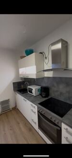 Monteurwohnung Speyer / Lingenfeld Bild 4