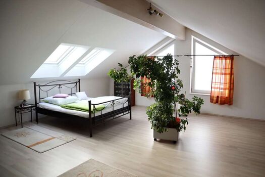 Großes Haus mit 10 Betten und 2 Badezimmer, Nahe A94, ruhig. Bild 4