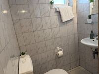 Moderne Einzel - und Doppelzimmer mit eigenem Bad und Gemeinschaftsküche Bild 6