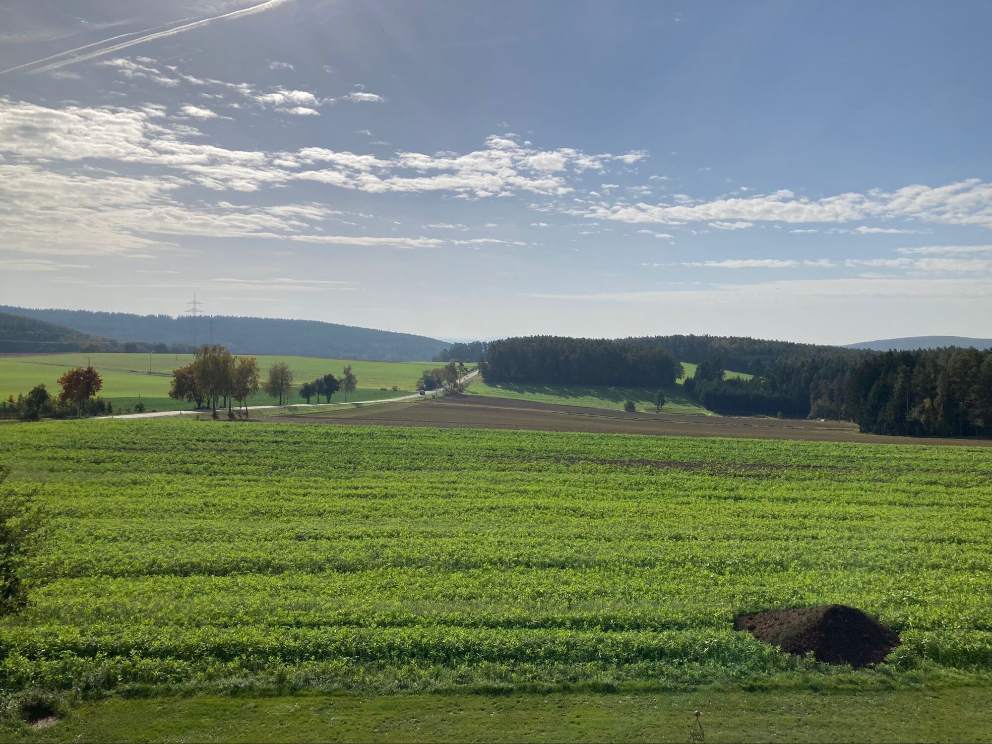 Aussicht Balkon Wohnung 1