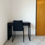 Wohnung Bierer Bild 7