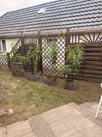 Wohnung Krzysztof Bild 3