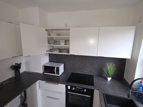 Nestwerk Solide L16-02 Picture 3