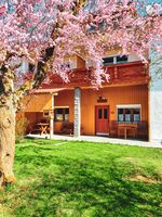 Wohnung Neugirg Bild 13