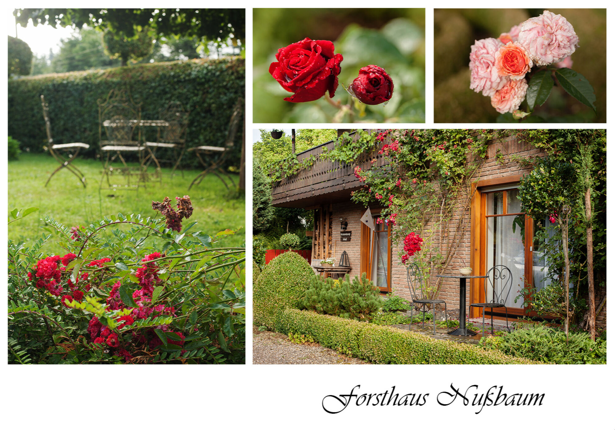 Ferienwohnungen - Gästezimmer im Forsthaus