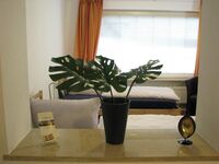 Ferienwohnung in der Lindenstraße – Whg. 1 Bild 7