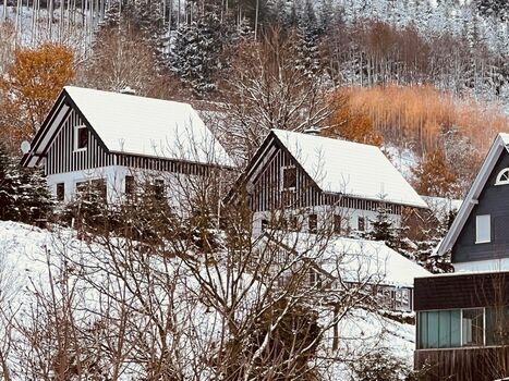 Haus Traumblick und Haus Alpenzauber Bild 4