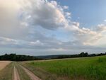Penthouse Bild 22
