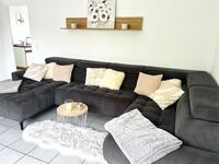 Wohnen auf dem Ponyhof in Laer Bild 3