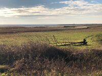 Landhof Usedom, App. Wildrose Bild 10