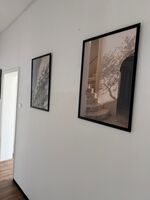 Moderne Monteurwohnungen in TOP-Lage Paderborn - Einzelbetten Bild 24
