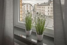 Living Linden Zdjęcie 7