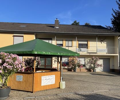 Pension und Weingut Hirschhof Bild 1