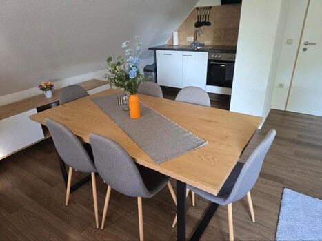 Schwalbennest Bild 3