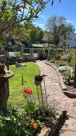 Ferienwohnung Pusteblume Bild 12