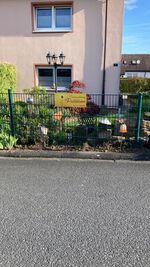 Ferienwohnung Pusteblume Bild 10