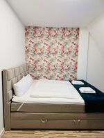 Moderne Wohnungen im Zentrum von Blankenburg – 12 Betten Bild 4