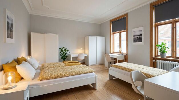 FL35 / TOMASZ-LIVING in HADERSLEV - Top für Monteure Bild 1