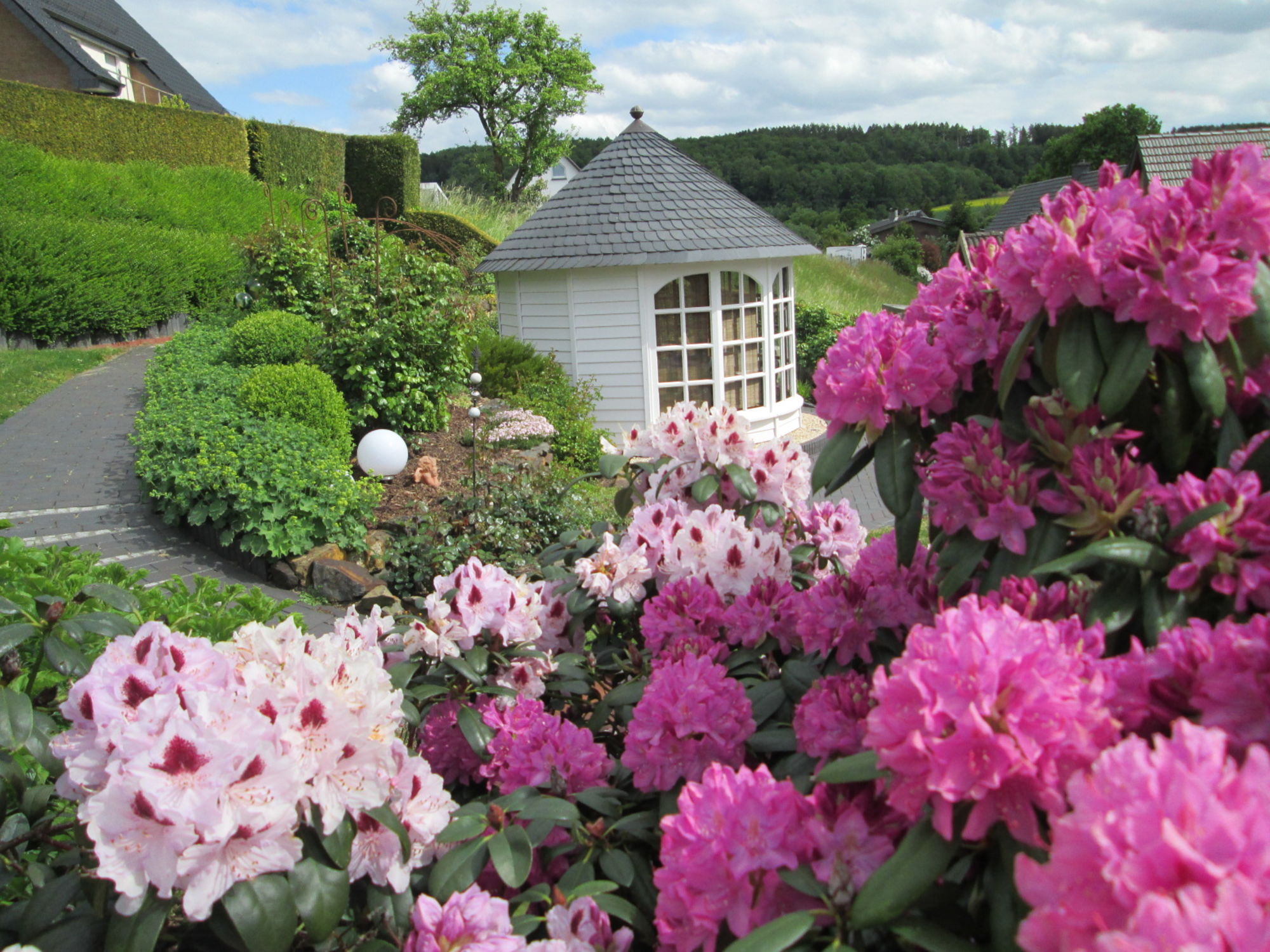 Blick in den Garten