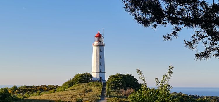 Wieseneck Pension und Restaurant Bild 3
