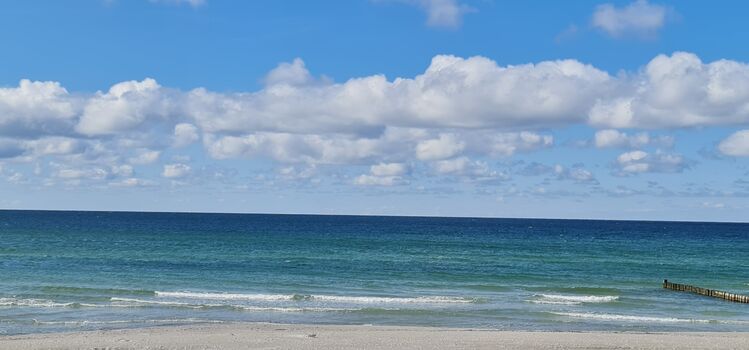 Wieseneck Pension und Restaurant Bild 2