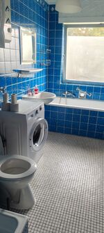 Sie suchen? Wir Finden ! Mc.Monty Hamburg Bild 3